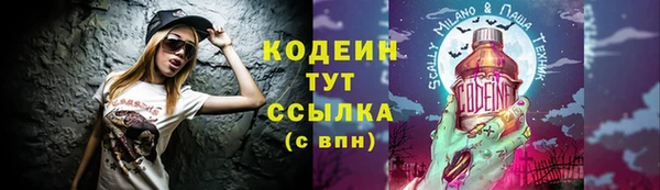 СК Ветлуга