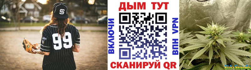 Канабис план  kraken как войти  Вилюйск  закладка 